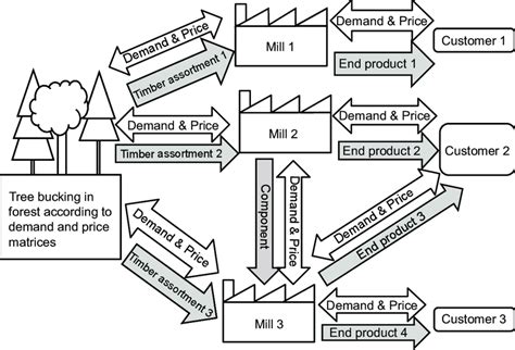 A Schematic Drawing Of Supply Chains In Forest Industry From The Forest