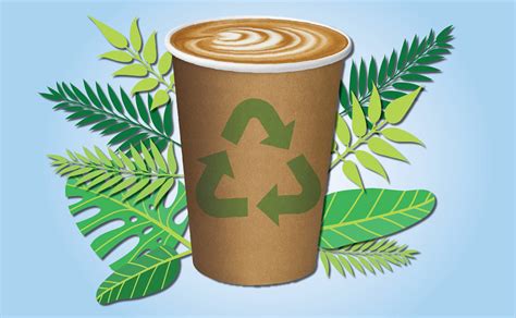 Redesigning a paper cup, much less actually making it compostable or recyclable, is a tall order. The Truth About Disposable Coffee Cups & The ABC's War on ...