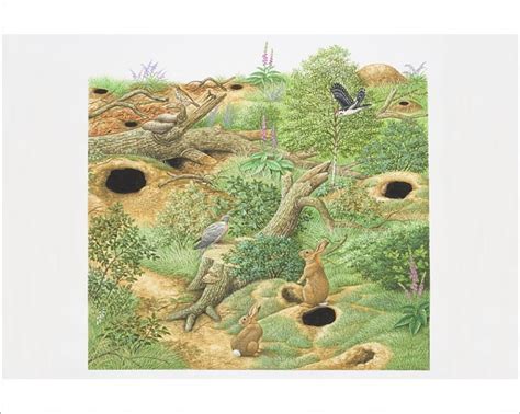 Print Of Illustration Rabbits And Birds Inhabiting Woodland Scene With