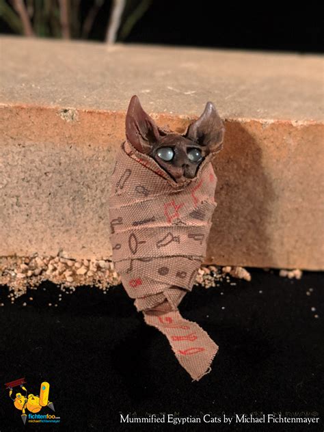 Look at pictures of laperm laperm kittens and cats. For Sale » Mummified Egyptian Cats & Kittens | FichtenFoo