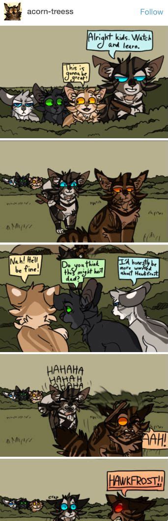 Brambleclaw Is Angry As All Heck Warrior Cats Comics Warrior Cats Funny Warrior Cats Books