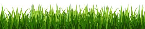 Grass Hd Png Images Grass Texture Clipart Free Download Free