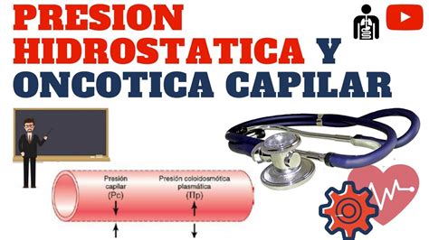 O Que é Pressão Oncótica