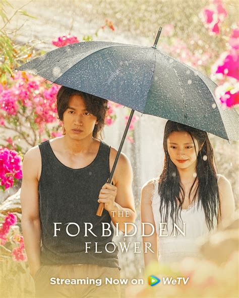 Multi Romance C Drama Tencent The Forbidden Flower 2023 S01 Web Dl 2160p H265 Ddp20 Yh