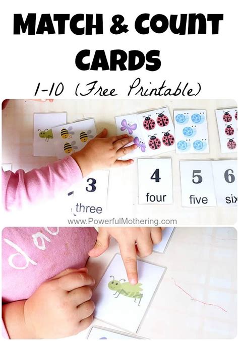 Match And Count Cards 1 10 Free Printable Business For Kids Math
