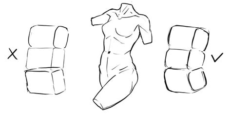 How To Draw The Female Torso An In Depth Guide Gvaats Workshop