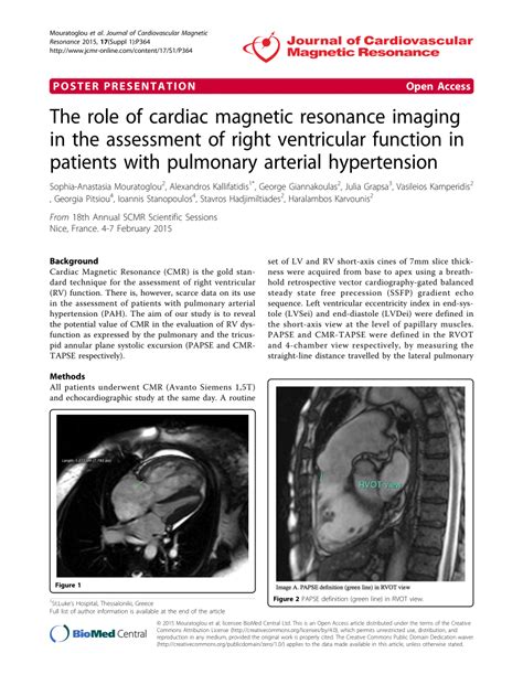 Pdf The Role Of Cardiac Magnetic Resonance Imaging In The Assessment