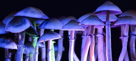 Magic Mushrooms Tackle Alcoholism