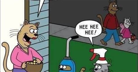 Submitted 1 year ago by crispycross102. Cat Humor... (Vacuum cleaner and spray bottle - pretty ...