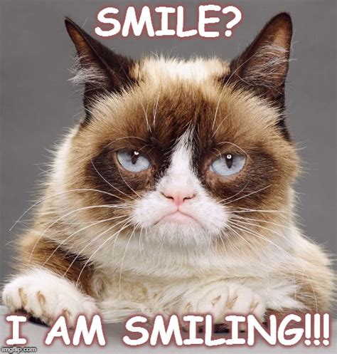 Grumpy Cat I Am Smiling