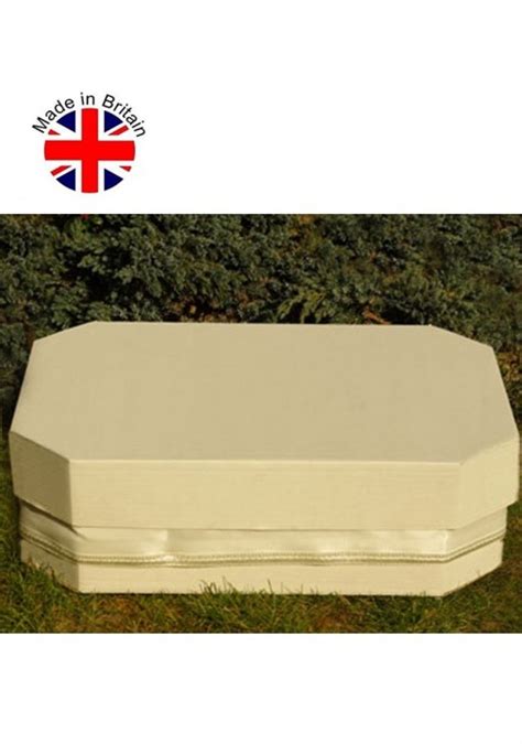 Eco Friendly Biodegradable Cardboard Coffins For Dogs In Uk Today There