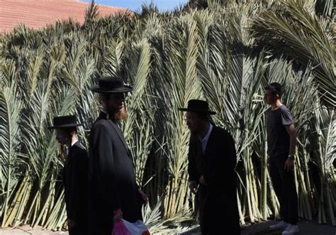 Ultra Orthodox Jews In Jerusalem Prepare For Sukkot Photos All