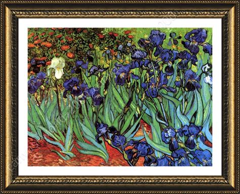 Irises By Vincent Van Gogh Framed Canvas Wall Art Print Paint
