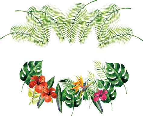 Tropical Png Border Free Logo Image