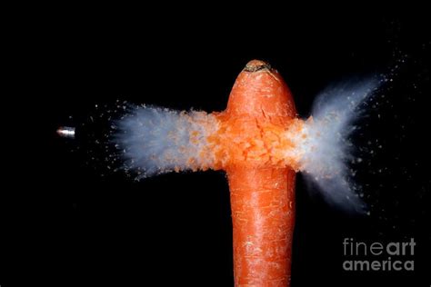 Bullet Hitting A Carrot By Ted Kinsman Image Shows Bullet Artist
