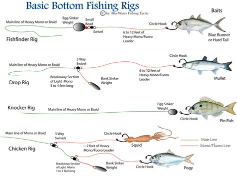 No matter what you want, all efforts will go in vain unless you are aware of how to set up a fishing pole. Basic Bottom Fishing Rigs | BlueWater Fishing Tactics ...