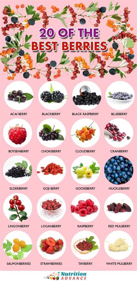 27 Different Types Of Berries To Discover Types Of Berries High