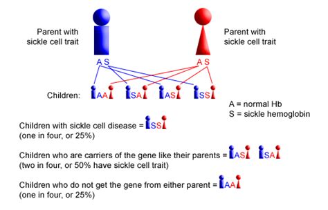 Sickle Cell Disease In Children