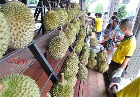 Lemak tak tepu (bahasa inggeris: Peminat Durian, Hati-Hati Jangan Ingat Sedap Je Bukan ...