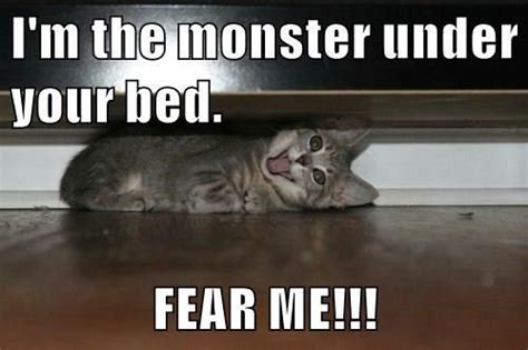 Im The Monster Under Your Bed Fear Me Funny Cute Cats Funny