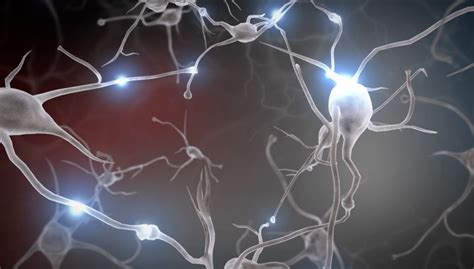 Neurons Wallpapers High Quality Download Free