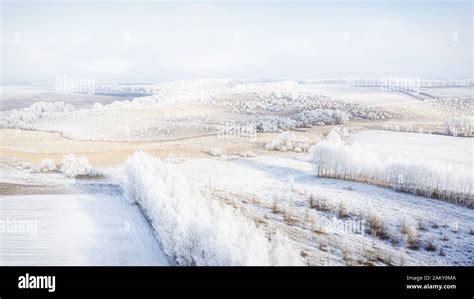 Snowy Meadow With Forest Strips And Empty Agrarian Fields Winter