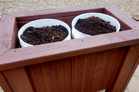 How To Grow In 5 Gallon Buckets A Simple Way To Garden Anywhere