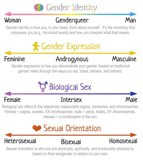 Types Of Gender Identity Types And Definitions Zohal