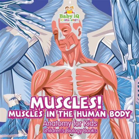 Body Muscle Anatomy Books Blank Muscle Diagram To Label Lovely New
