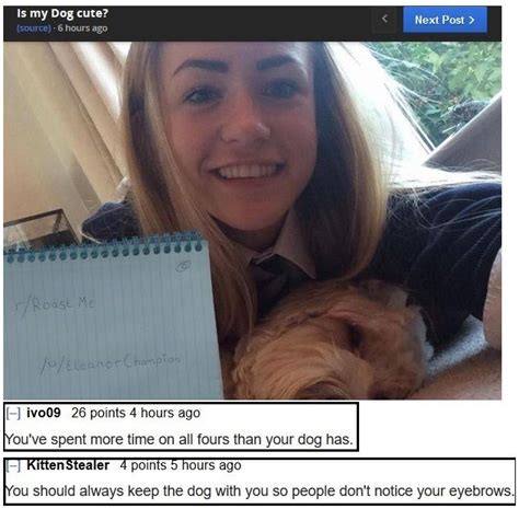 26 people who asked to be roasted and got incinerated funny roasts awkward funny funny laugh