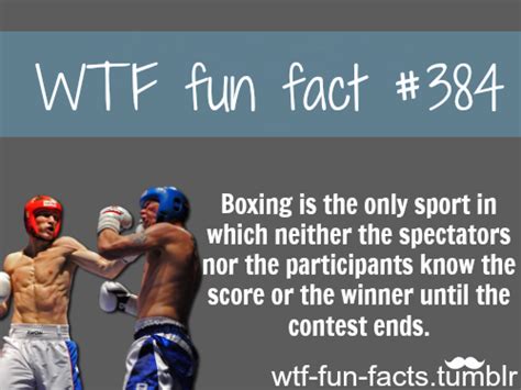 Sweet Interesting Facts Really Interesting Sport Facts