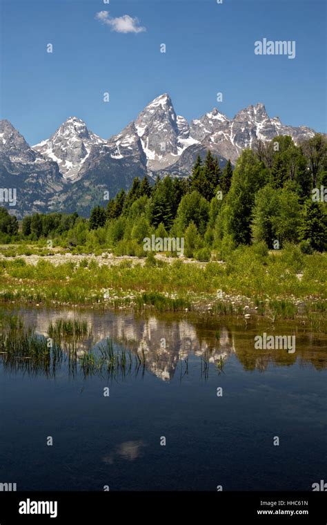 Wyoming The Tetons Reflecting In The Beaver Ponds On The Snake River