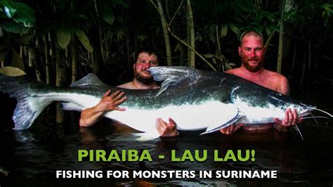 Fishing For Big Piraiba Lau Lau In Suriname Youtube