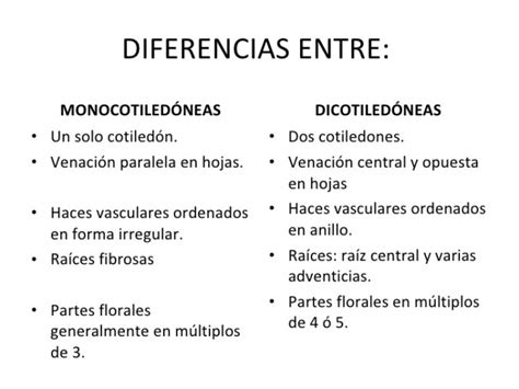 Cuadro Comparativo De Las Diferencias Entre Monocotiledoneas Y Cloobx
