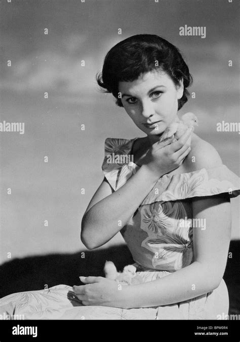 Jean Simmons Actress 1948 Banque De Photographies Et D’images à Haute Résolution Alamy