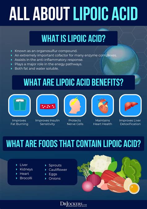 The Comprehensive Guide To Alpha Lipoic Acid Benefits Dosage And