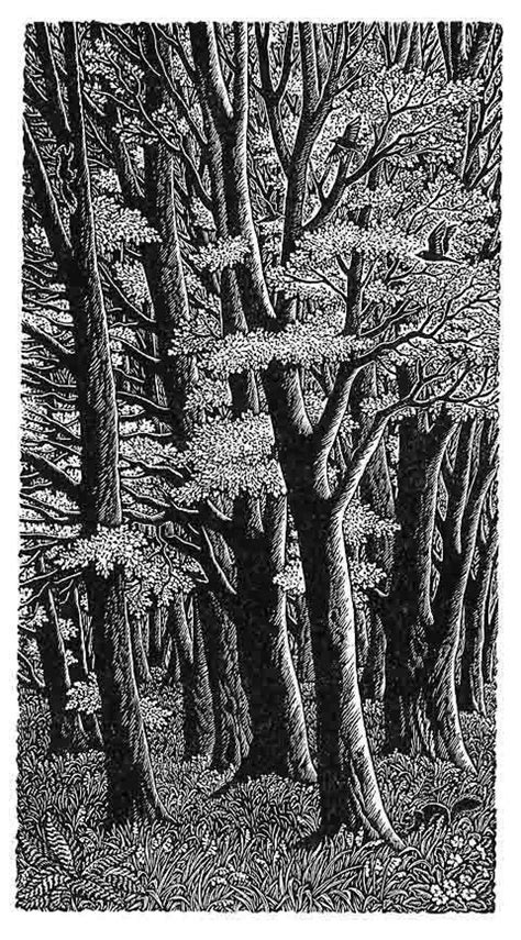 Pin By Eerie Picnic On Imaginal Invaginations Woodcuts Prints Wood