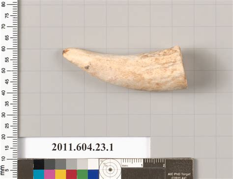 Bone Or Ivory Fragment The Metropolitan Museum Of Art