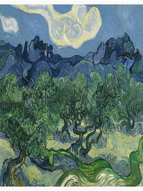 The Olive Trees Vincent Van Gogh Photographic Print For Sale By