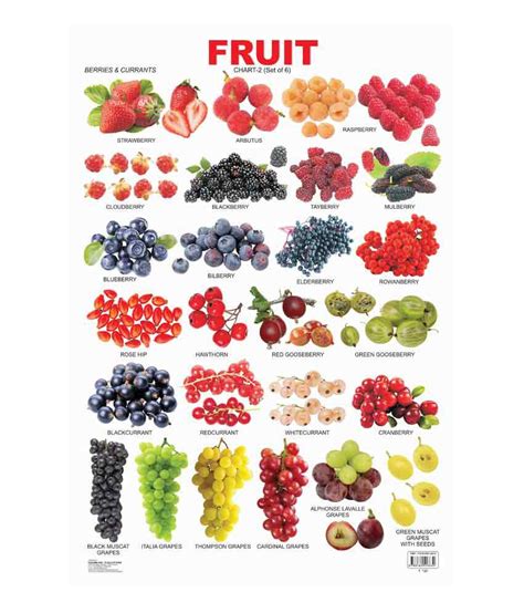 Fruit Chart 2 Laminated Chart Size 48cm X 73cm Buy Fruit Chart