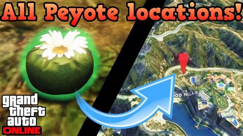 Gta 5 Peyote Locations Where Are The Peyote Plant Locations In Gta 5