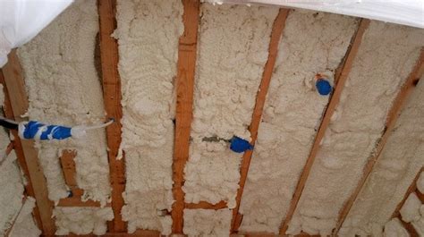 Professional Take On Adding A Spray Foam Insulation For Your Wine Cellar
