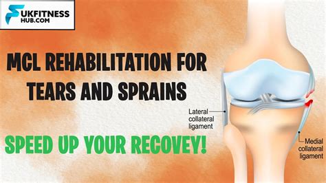 Medial Collateral Ligament Mcl Rehabilitation Post Surgery Tear