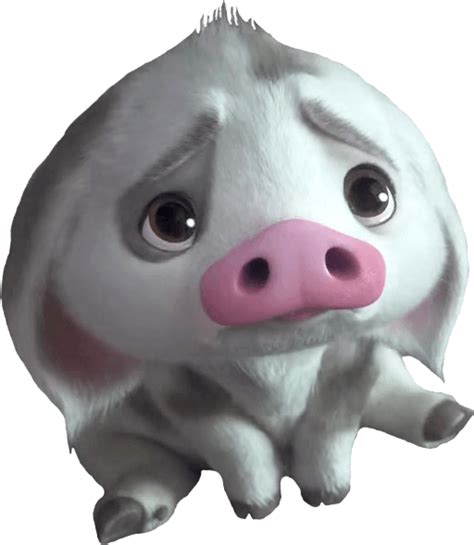 Pua Moana Png Png Image Collection