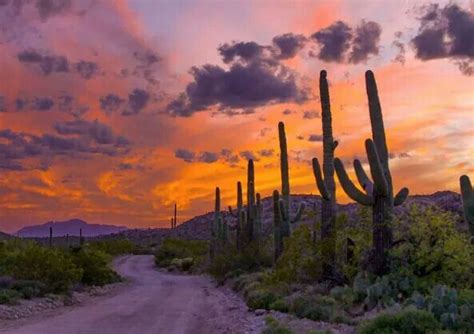 Pin By Lee Graeber On Arizona Best Sunset Sunset Scenic