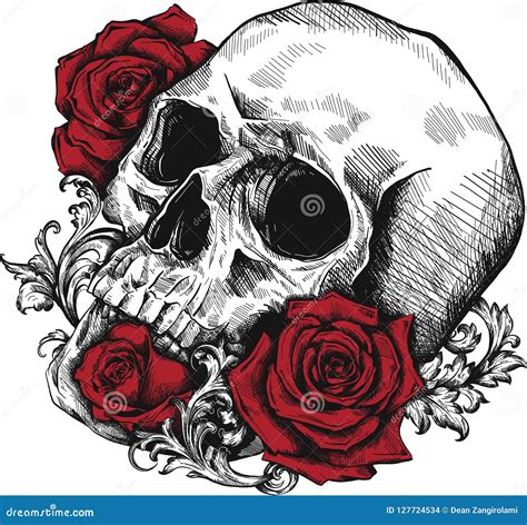 Skull With Roses Memento Mori Cartoon Vector 137281427