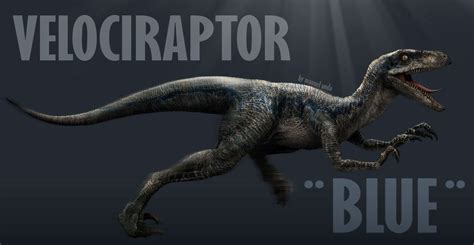 Velociraptor Blue Jurassic Park World Jurassic World Raptors Blue