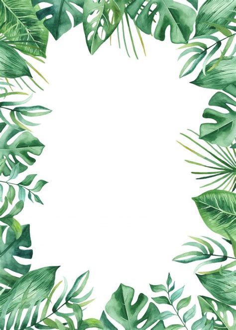 premium vector watercolor frame tropical leaves and flowers tropical frames tropical leaves
