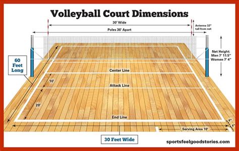 Volleyball Court Dimensions Size Guide Vector Illustration Layout