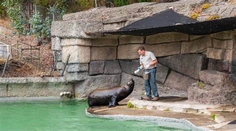 San Francisco Zoo Package Deals Orbitz